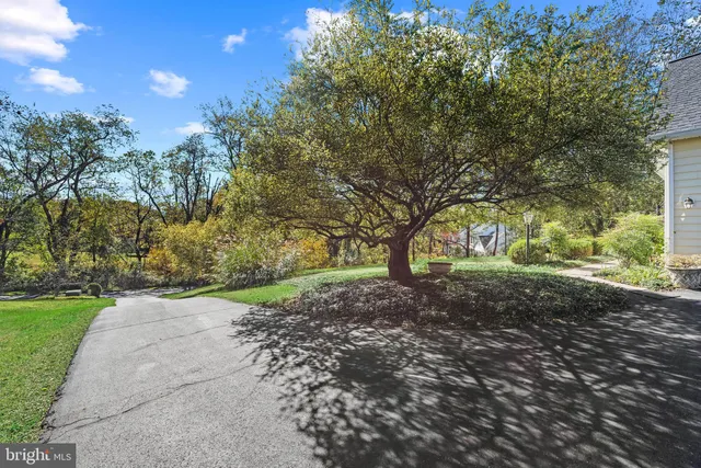 a view of a tree in the middle of a yard