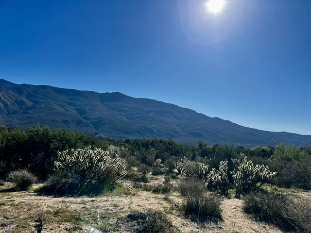 $65,000 | 0 Apn, Mountain Center, CA 92561