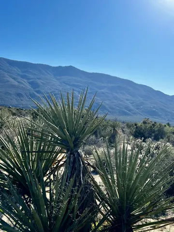 $65,000 | 0 Apn, Mountain Center, CA 92561