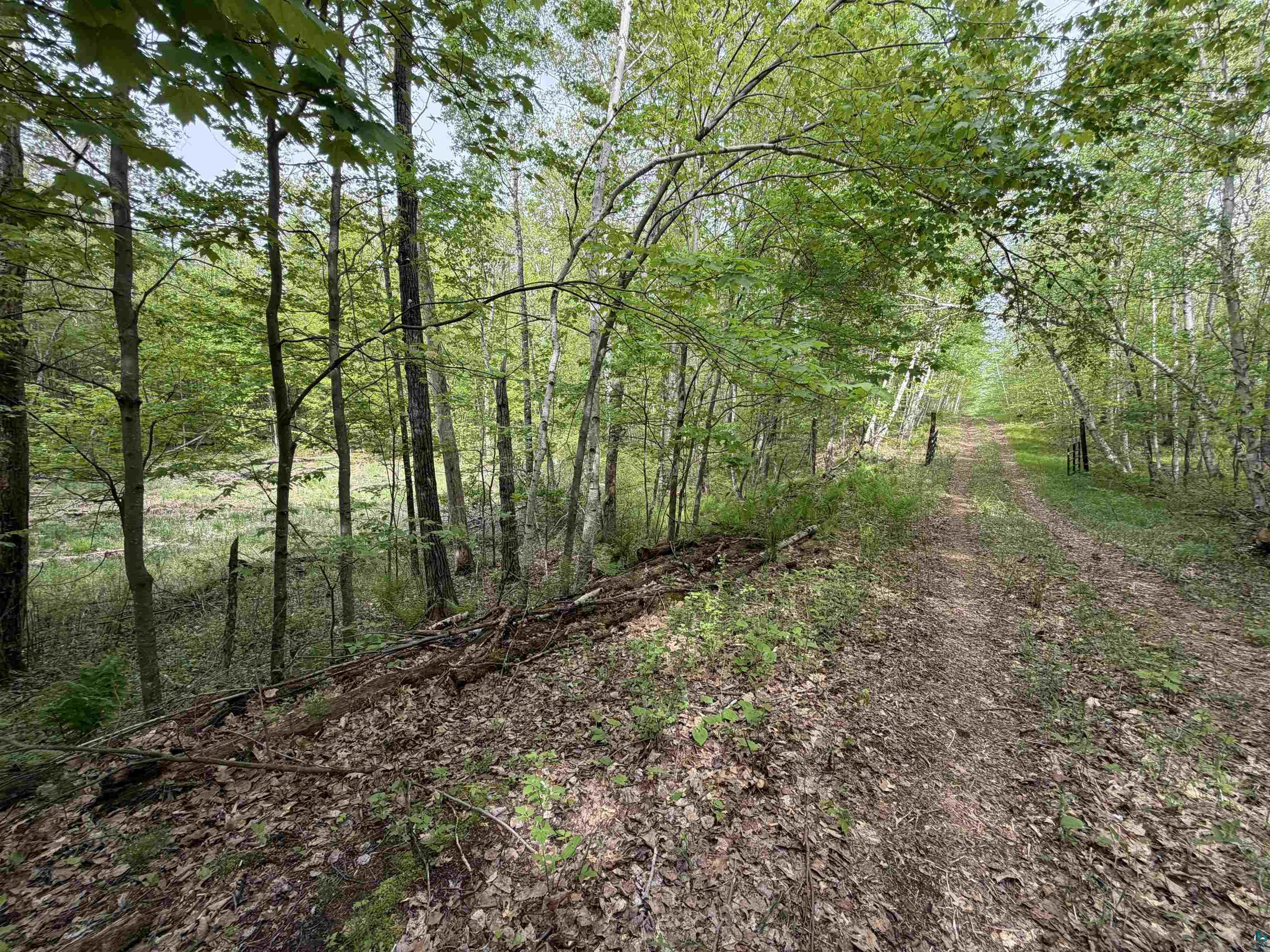 Lot 4 Peterson Road Minong, WI 54859 - Photo 7 of 7