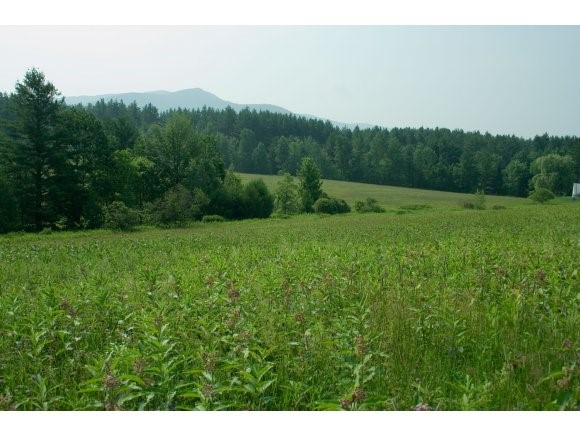 2-4 Joslin Hill Road Waitsfield, VT 05673 - Photo 1 of 1 Gallery Image 1
