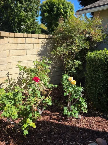 a view of flowers in back yard