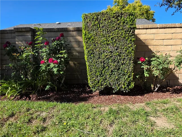 a view of flowers in the garden