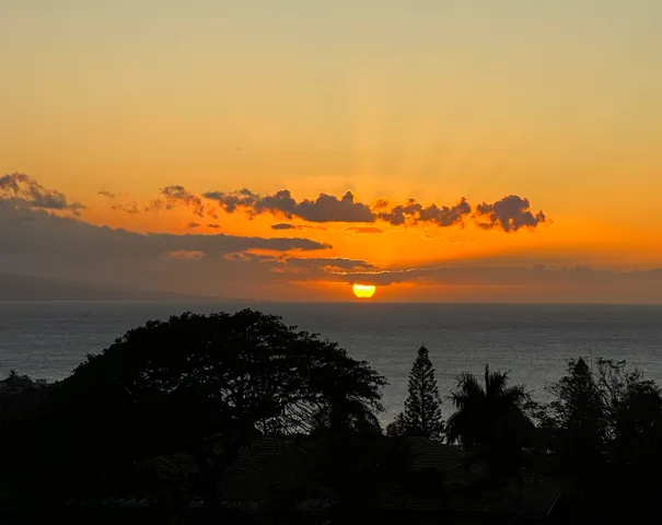 $1,795,000 | 50 Puu Anoano Street, Unit 2902, Lahaina, HI 96761