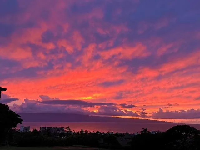 a view of kitchen with furniture and wooden floor