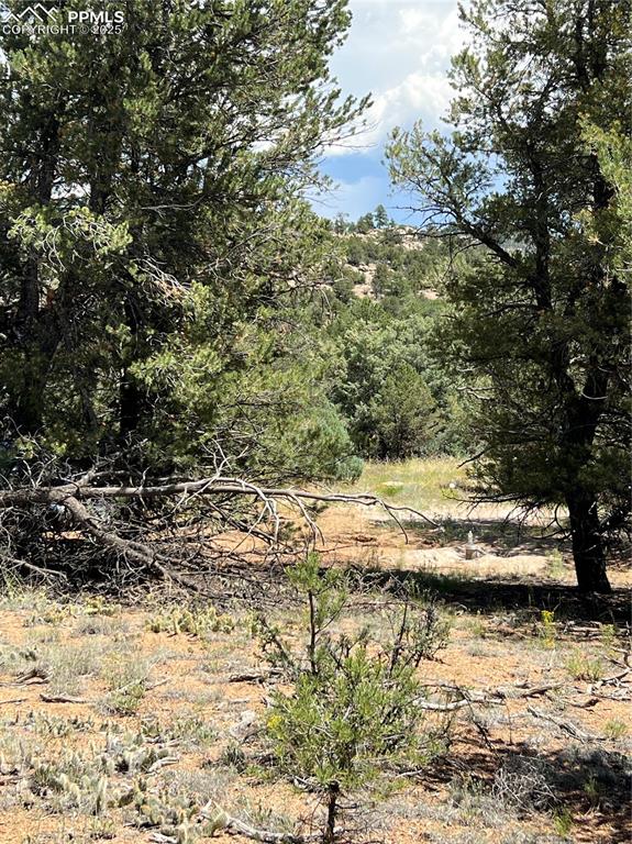 216 West View Road Cotopaxi, CO 81223 - Photo 3 of 6 a view of ocean