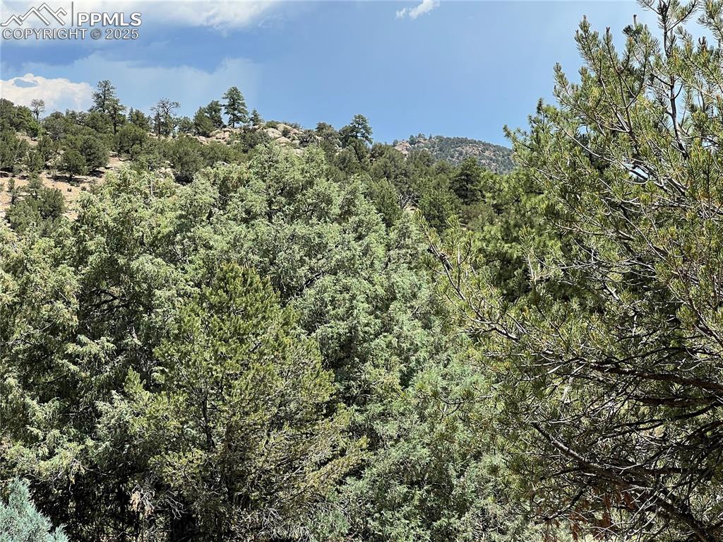 216 West View Road Cotopaxi, CO 81223 - Photo 4 of 6 a view of a field of grass and trees