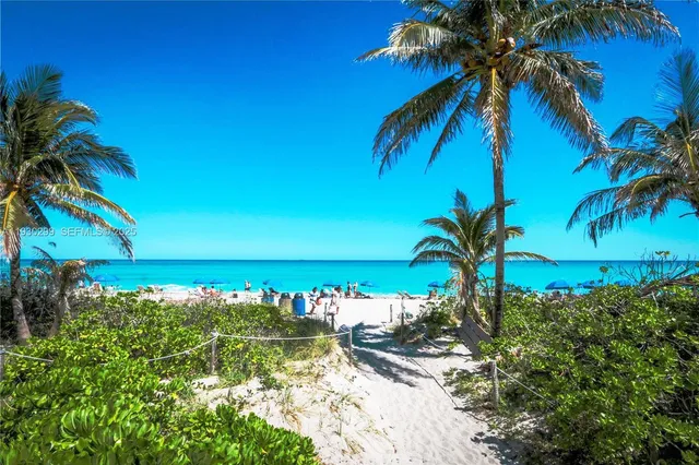 a view of a palm tree