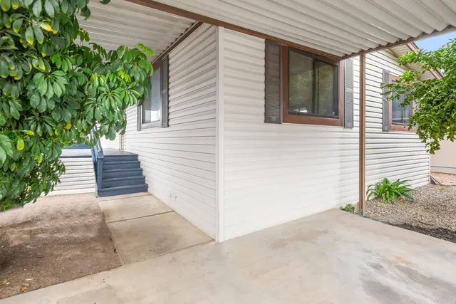a view of a backyard with plants