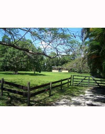 13441 Mustang Trail Southwest Ranches, FL 33330 - Photo 8 of 9 Exterior Back