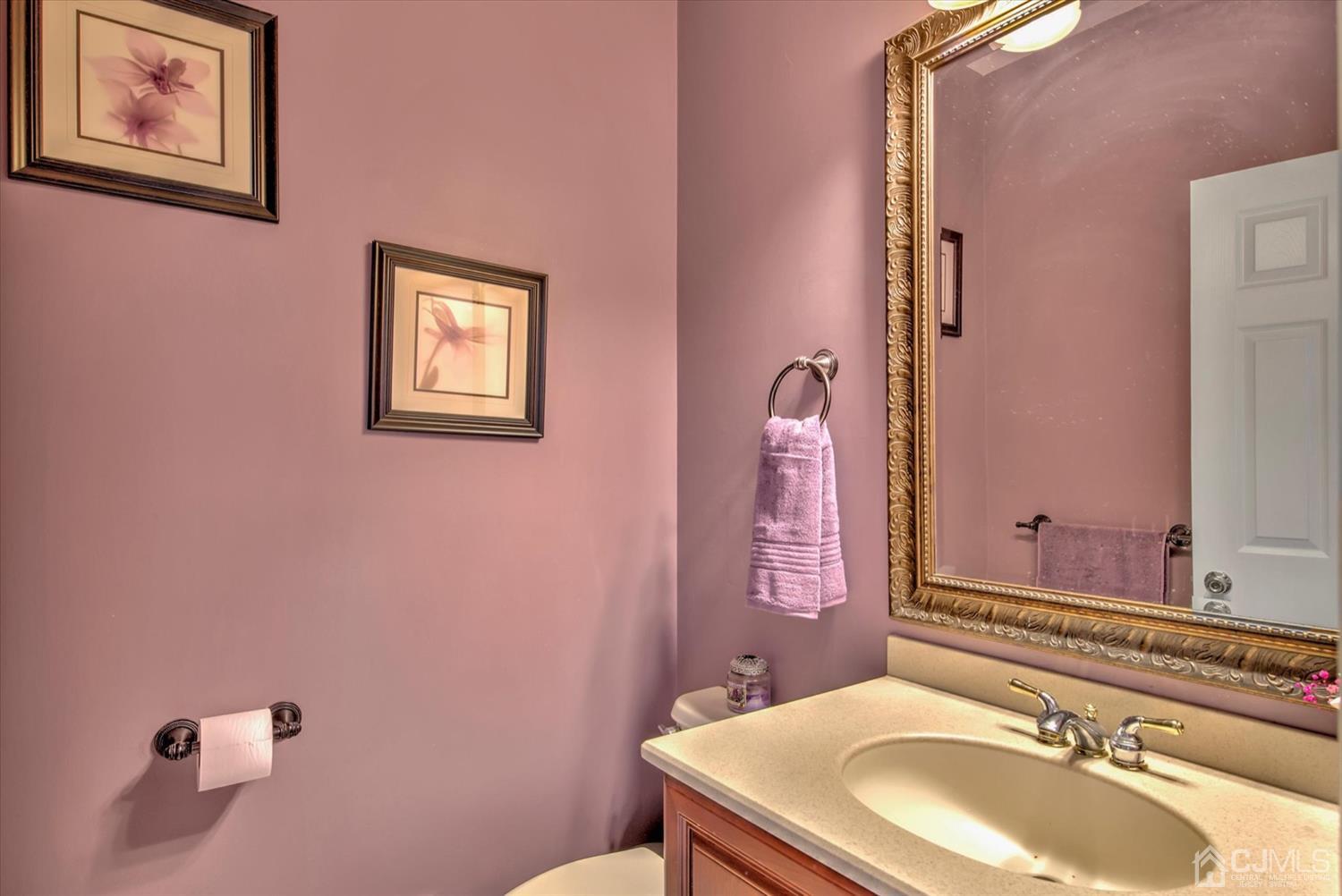 32 Spruce Meadows Drive Monroe Township, NJ 08831 - Photo 19 of 46 a bathroom with a sink and a mirror