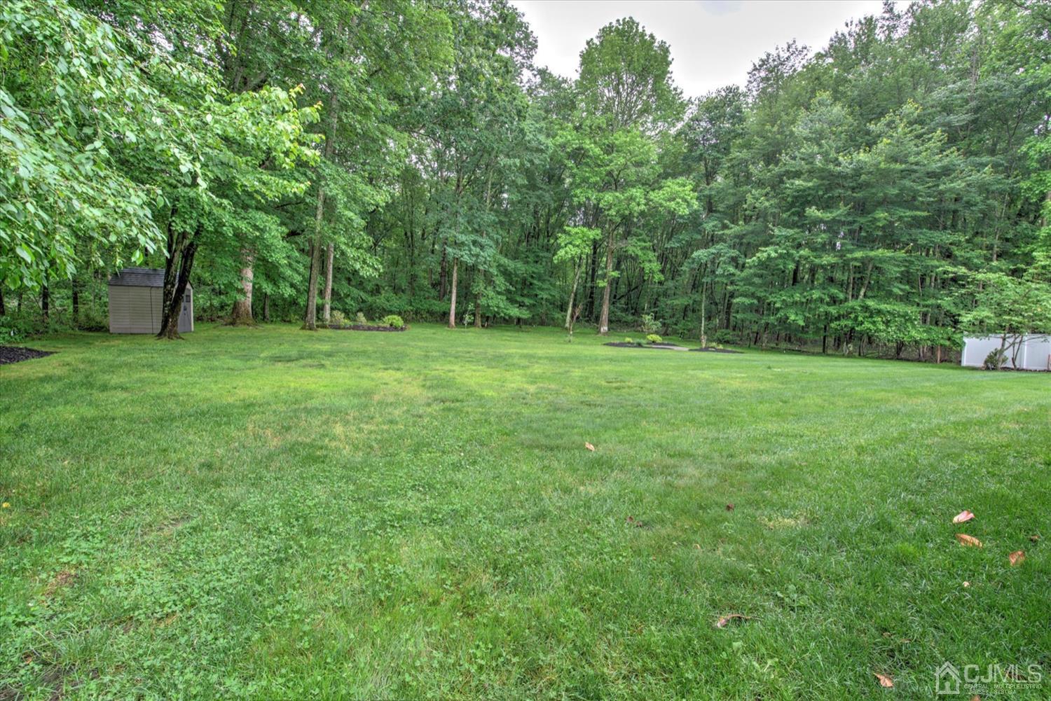 32 Spruce Meadows Drive Monroe Township, NJ 08831 - Photo 44 of 46 a view of a grassy field with trees in the background