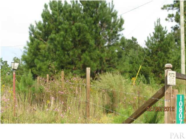 10797 Appleton Road Castleberry, AL 36432 - Photo 1 of 1