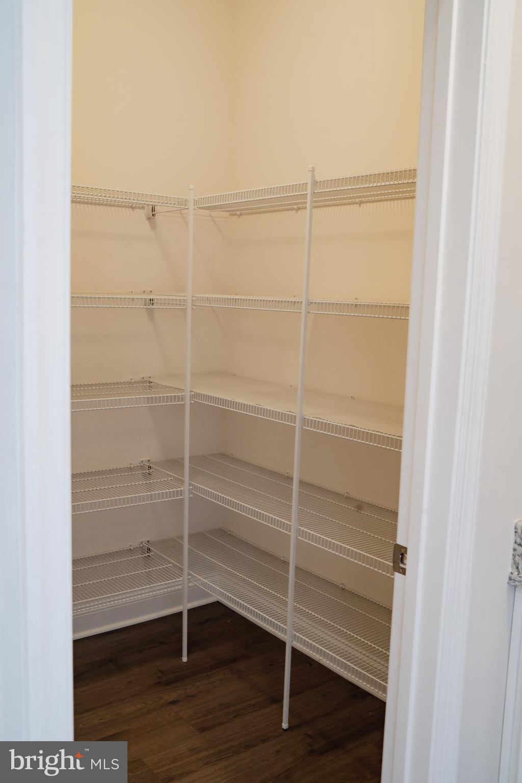 36046 Auburn Way Millsboro, DE 19966 - Photo 36 of 56 a view of an empty walk in closet