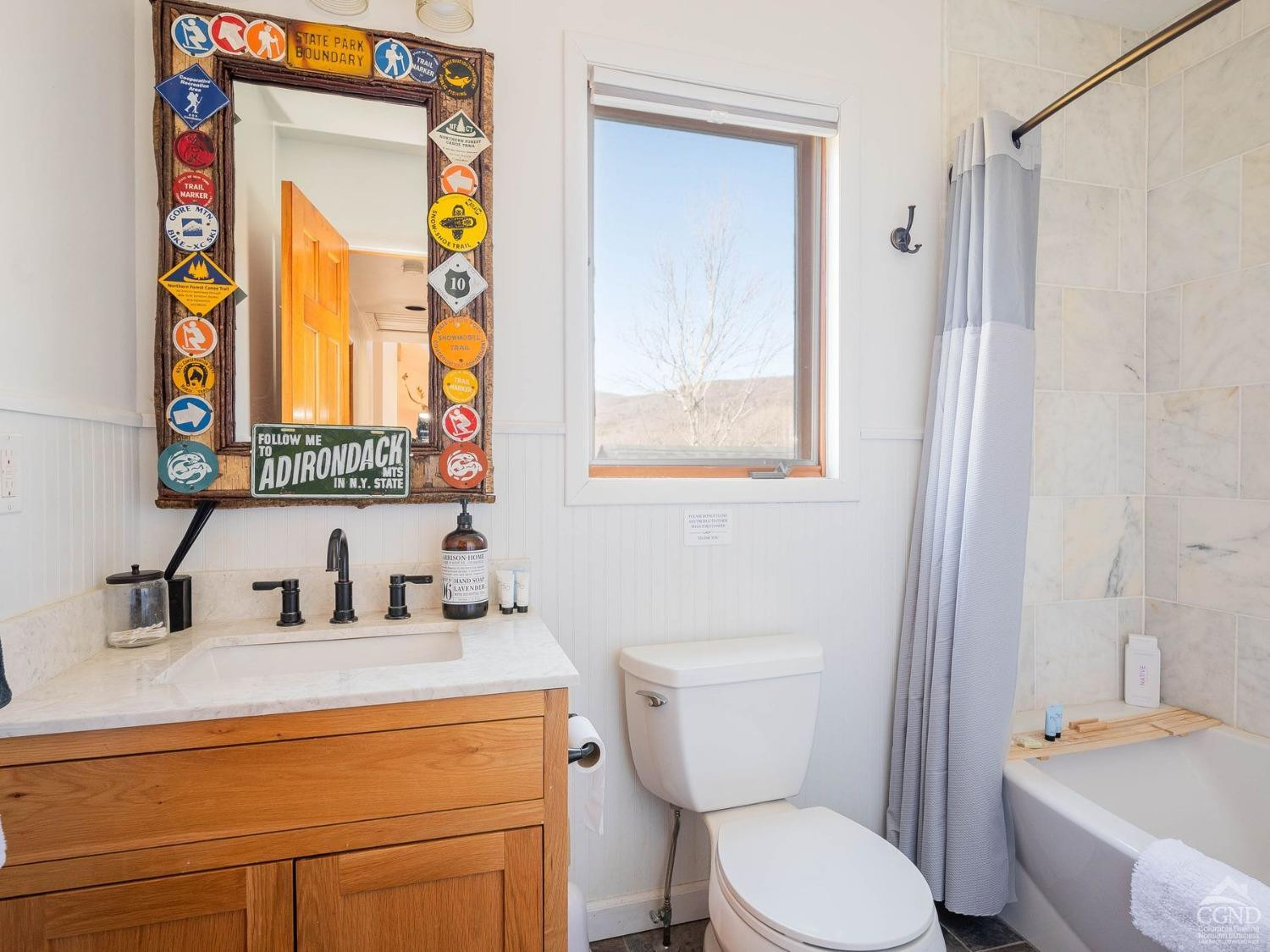 266 Siam Road Windham, NY 12496 - Photo 29 of 52 a bathroom with a toilet a sink and a mirror