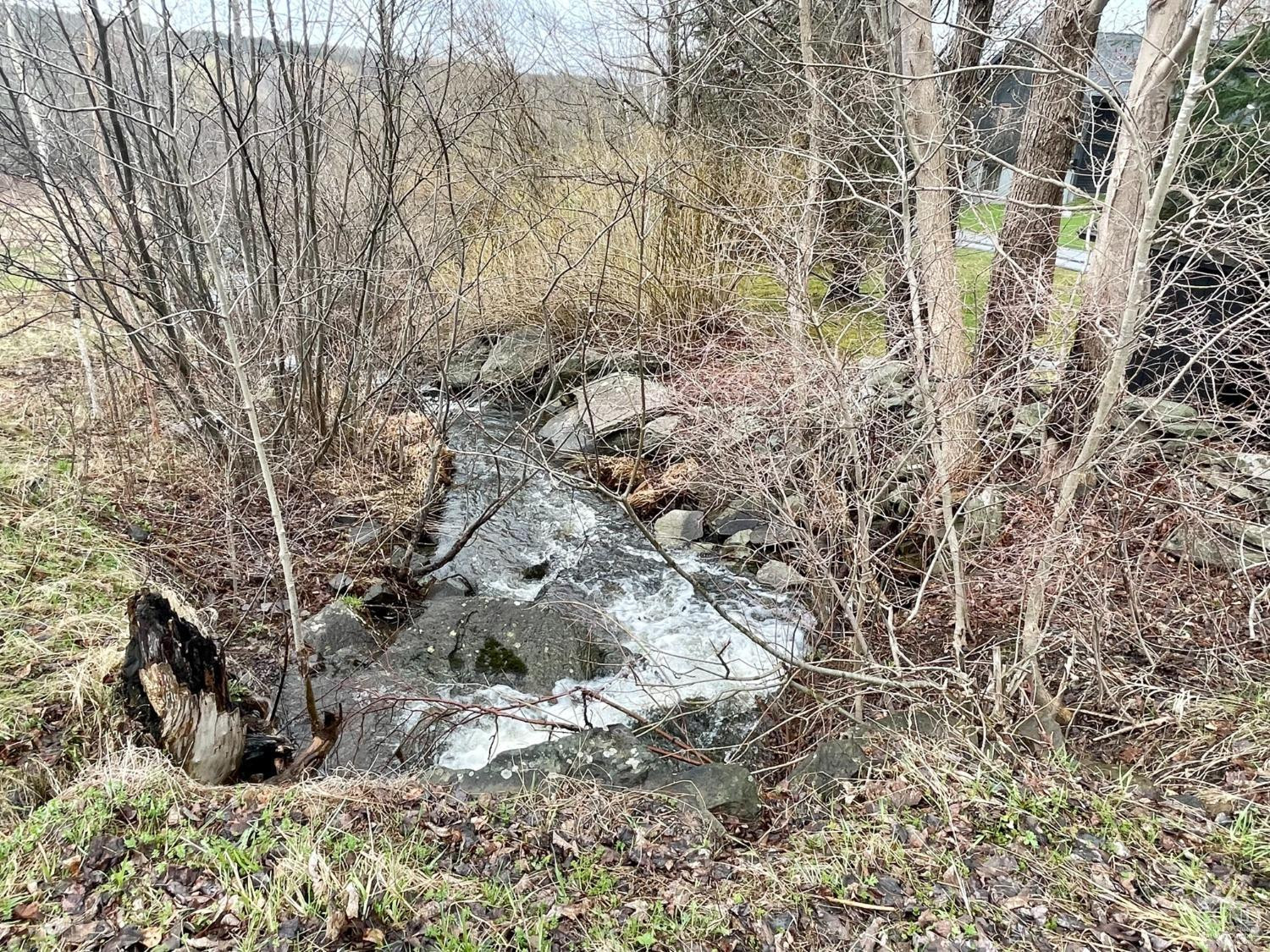 266 Siam Road Windham, NY 12496 - Photo 52 of 52 a view of a yard with large trees