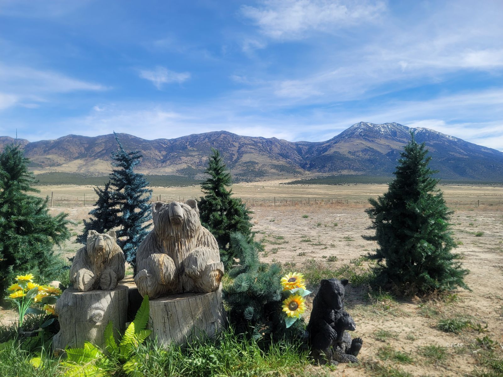 1024 3rd Street Montello, NV 89830 - Photo 45 of 49