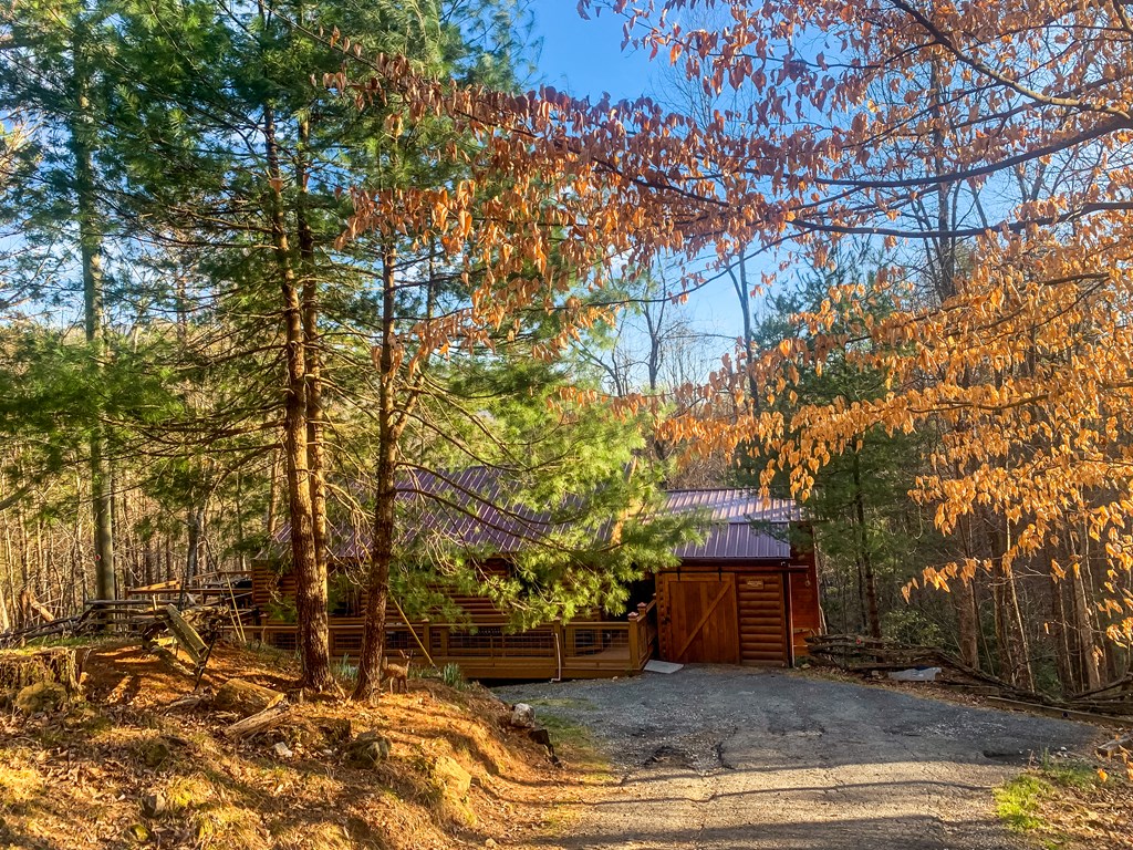 462 Laurel Mountain Road Blue Ridge, GA 30513 - Photo 51 of 52 Gallery Image 51