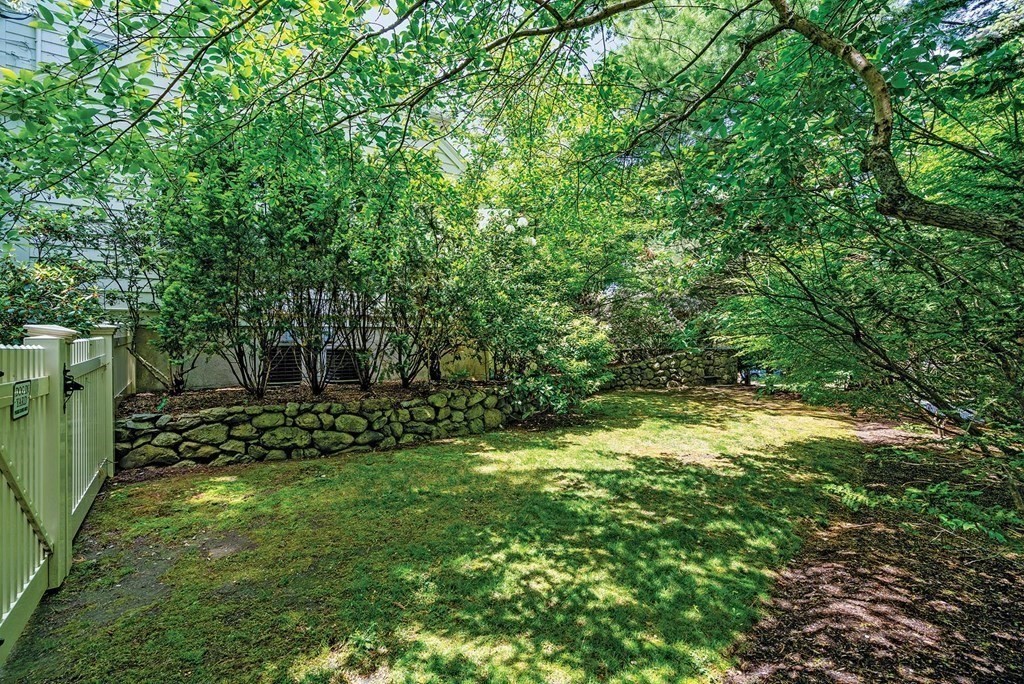 131 Oliver Road Newton, MA 02468 - Photo 40 of 41 a view of outdoor space and yard