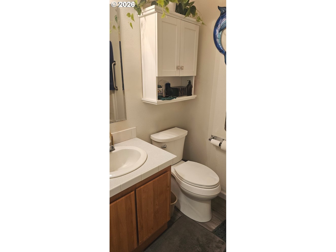 42255 Ames Creek Road Sweet Home, OR 97386 - Photo 13 of 19 a bathroom with a toilet a sink and mirror