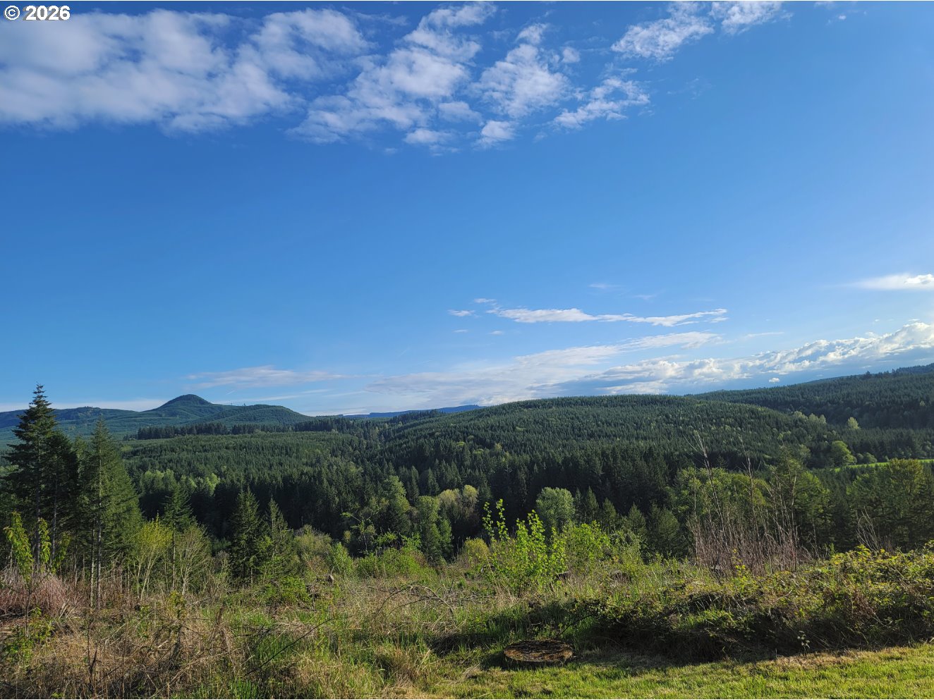 42255 Ames Creek Road Sweet Home, OR 97386 - Photo 10 of 19 a view of a lake with a mountain in the background