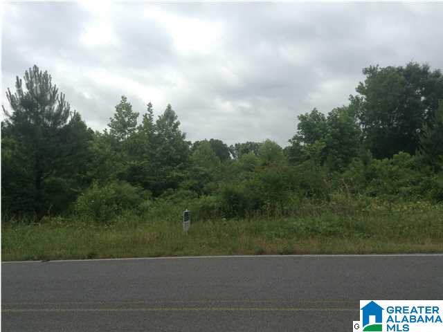 1 Slasham Road Ashville, AL 35953 - Photo 3 of 3