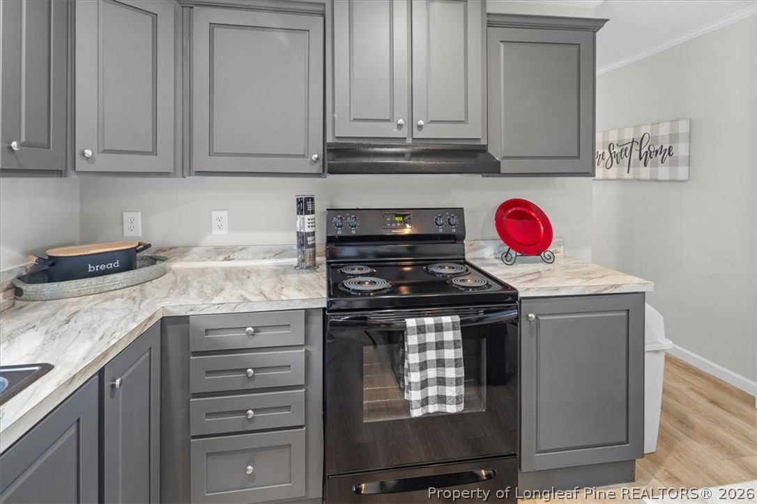 626 Ballance Farm Road St. Pauls, NC 28384 - Photo 14 of 27 Kitchen
