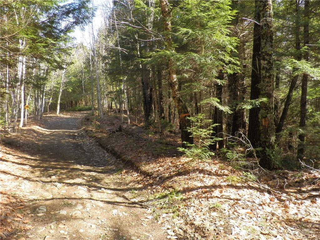 Lot 23 Lilly Pond Road Beddington, ME 04622 - Photo 18 of 29 Photo