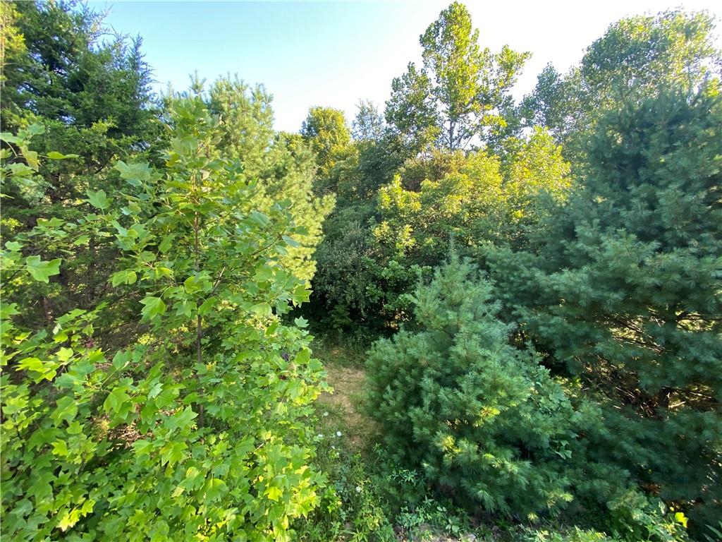 0 Byerly Road Coal City, IN 47427 - Photo 11 of 28