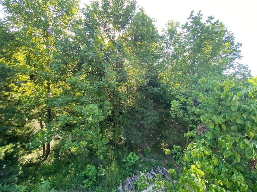 0 Byerly Road Coal City, IN 47427 - Photo 14 of 28
