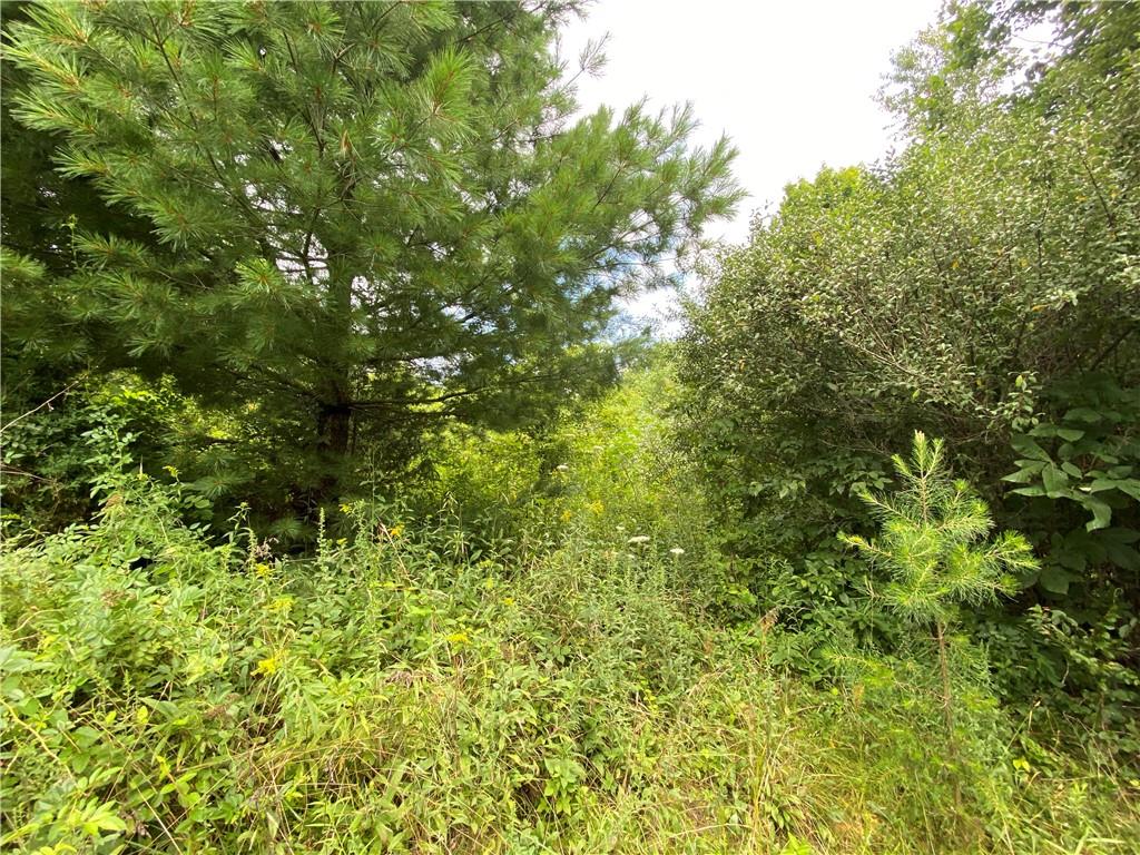 0 Byerly Road Coal City, IN 47427 - Photo 16 of 28