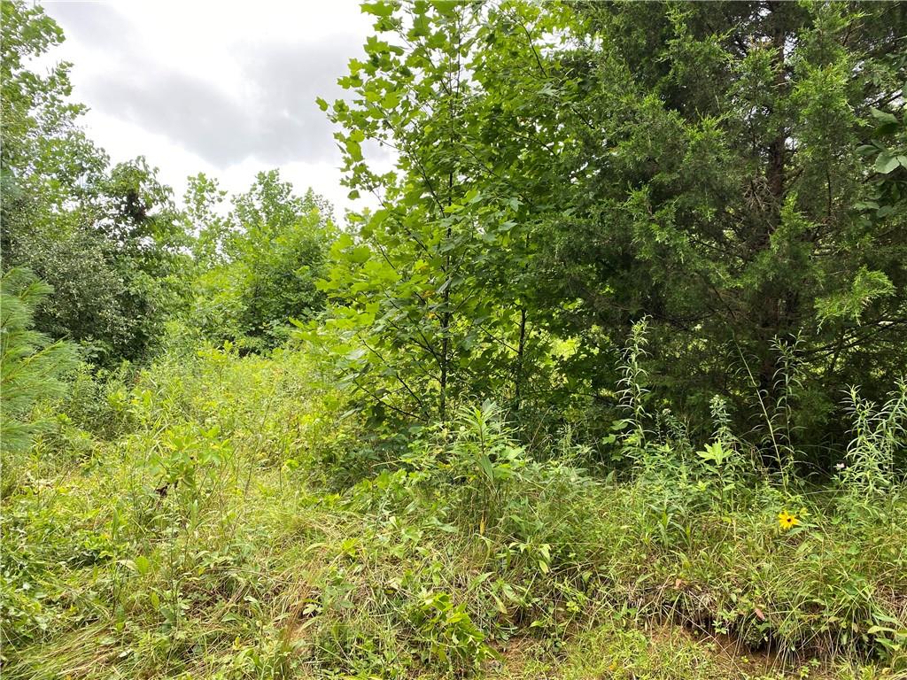 0 Byerly Road Coal City, IN 47427 - Photo 17 of 28