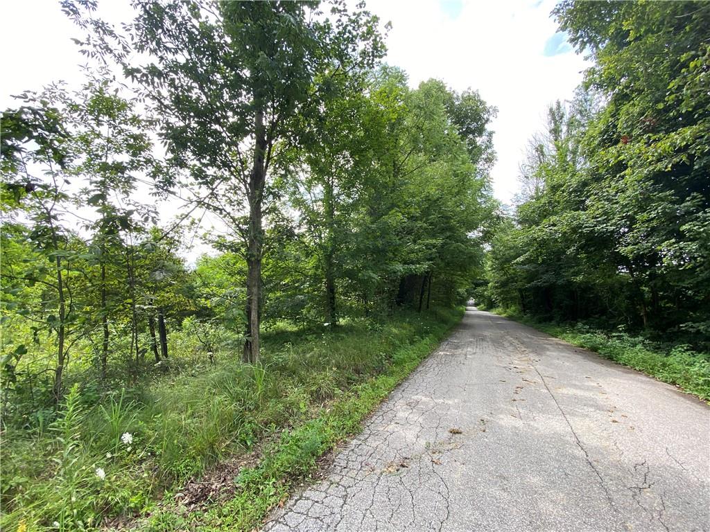 0 Byerly Road Coal City, IN 47427 - Photo 19 of 28