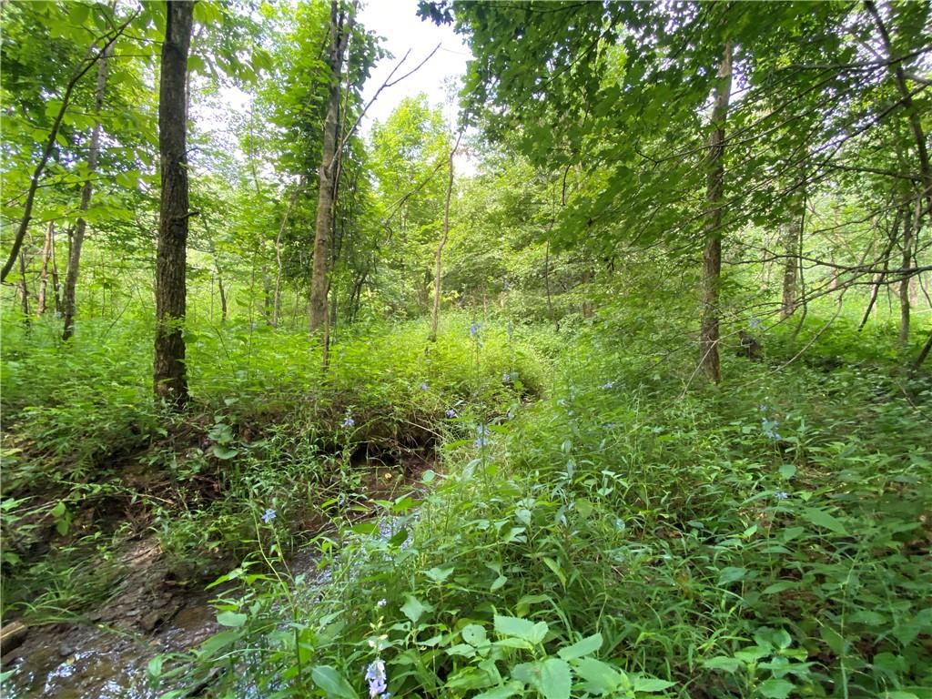 0 Byerly Road Coal City, IN 47427 - Photo 21 of 28
