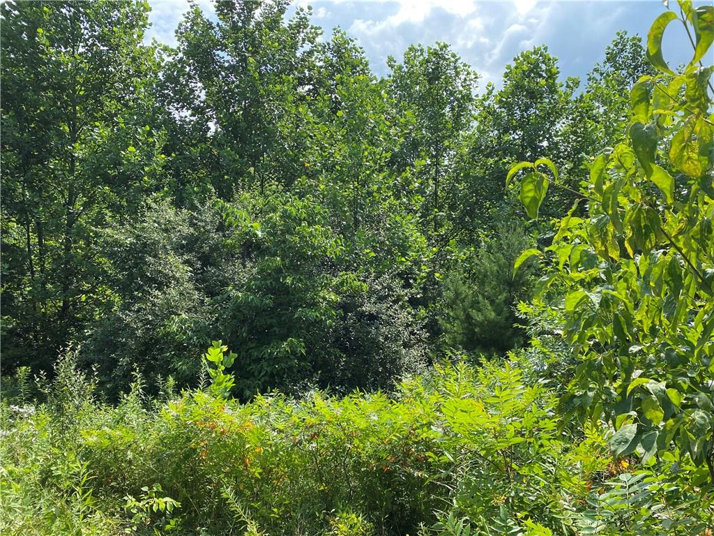 0 Byerly Road Coal City, IN 47427 - Photo 23 of 28