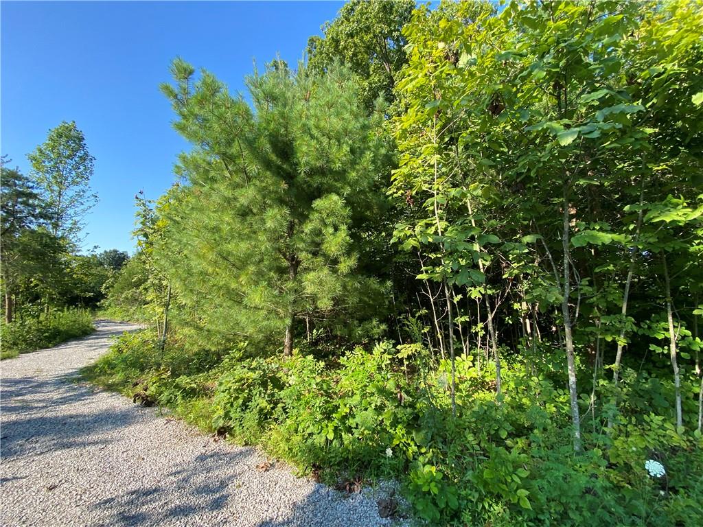 0 Byerly Road Coal City, IN 47427 - Photo 5 of 28