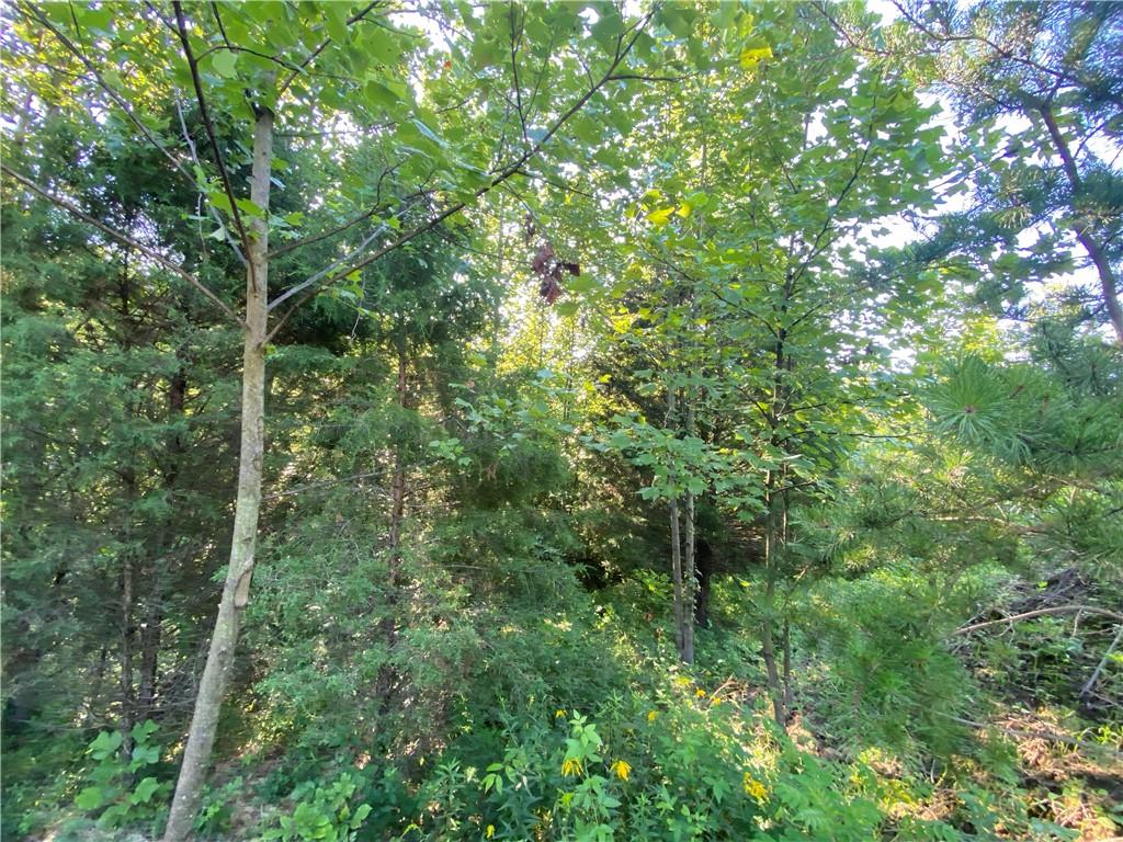 0 Byerly Road Coal City, IN 47427 - Photo 9 of 28