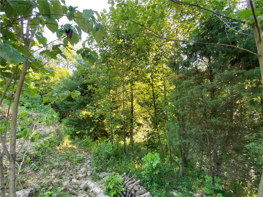 0 Byerly Road Coal City, IN 47427 - Photo 10 of 28