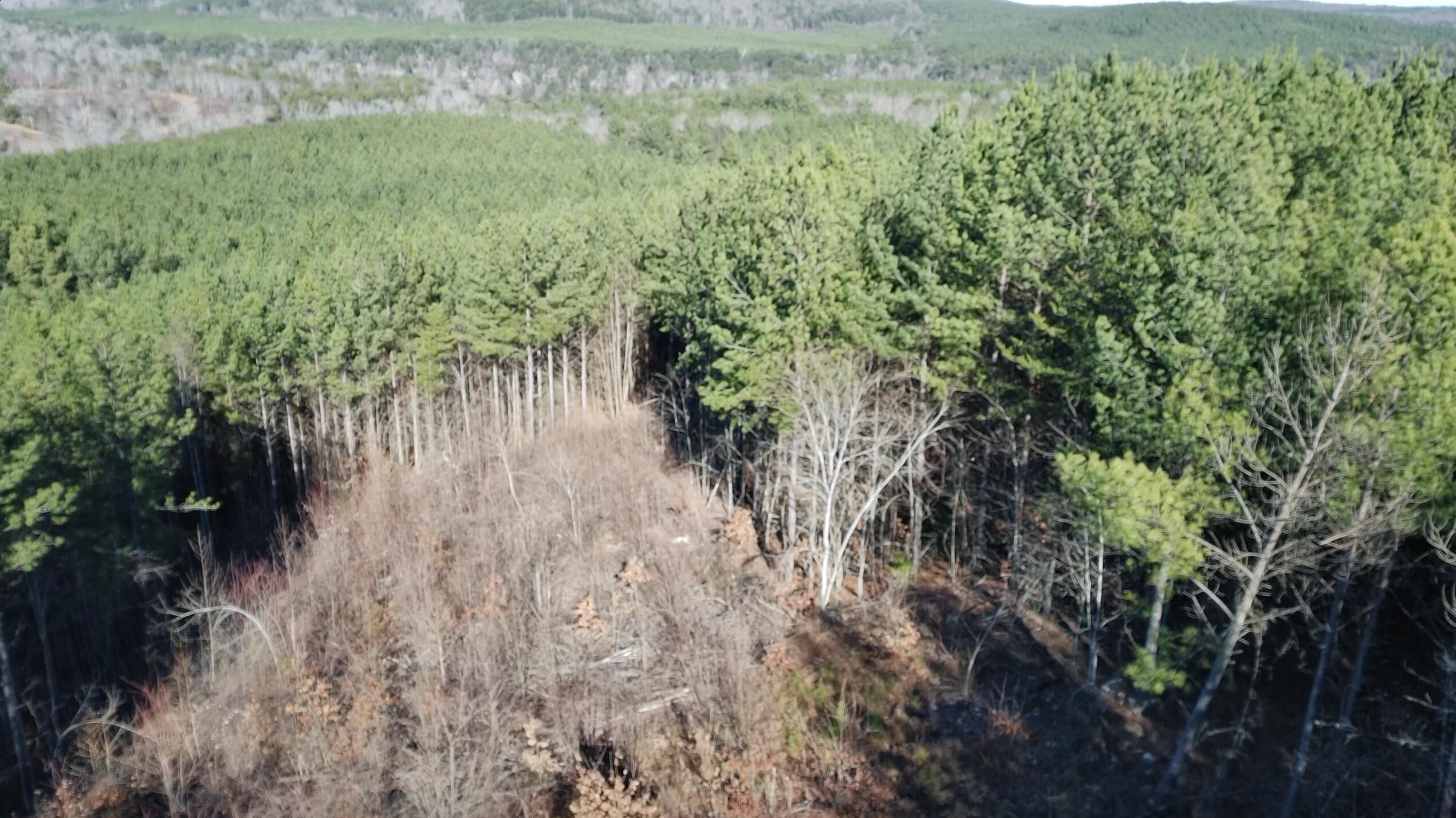 0 Three Gorges Road, Unit LOT 3 Soddy-Daisy, TN 37379 - Photo 5 of 21 LOT #3