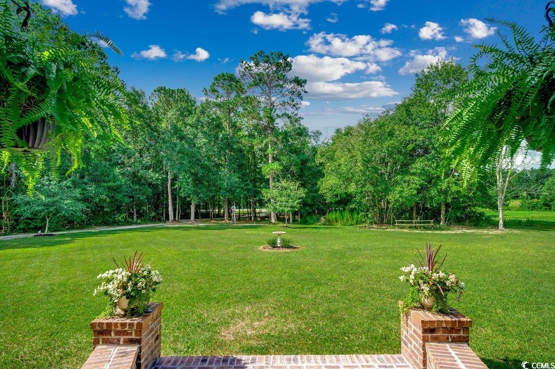 3555 Marsden Road Aynor, SC 29511 - Photo 31 of 39 Gallery Image 31