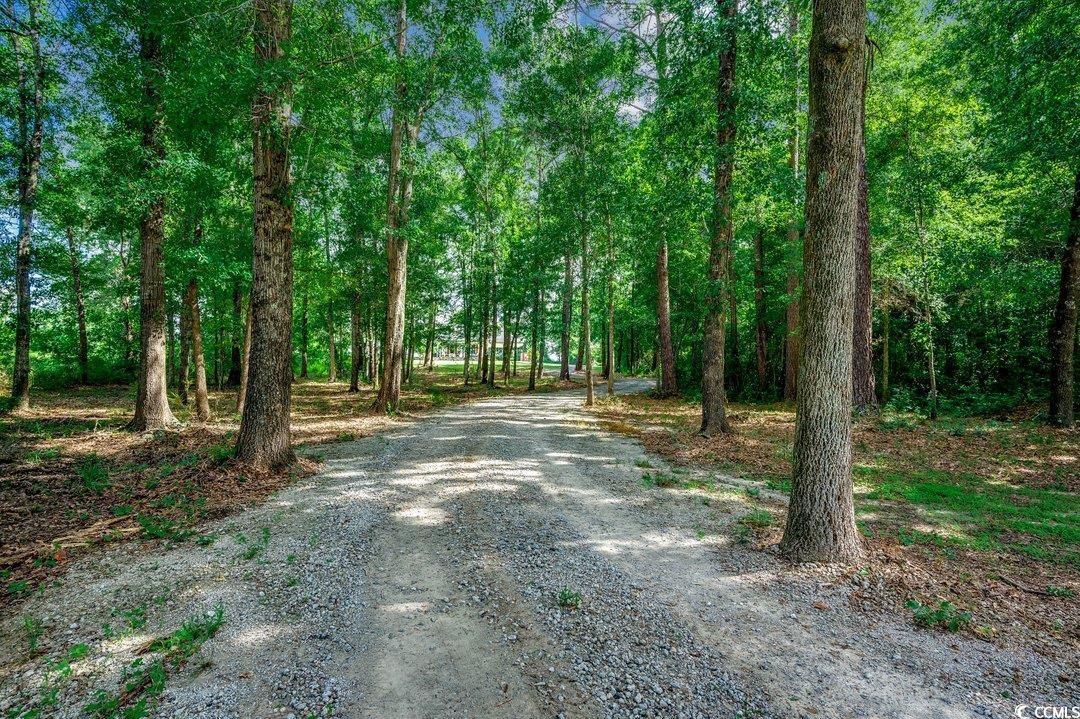 3555 Marsden Road Aynor, SC 29511 - Photo 32 of 39 Gallery Image 32