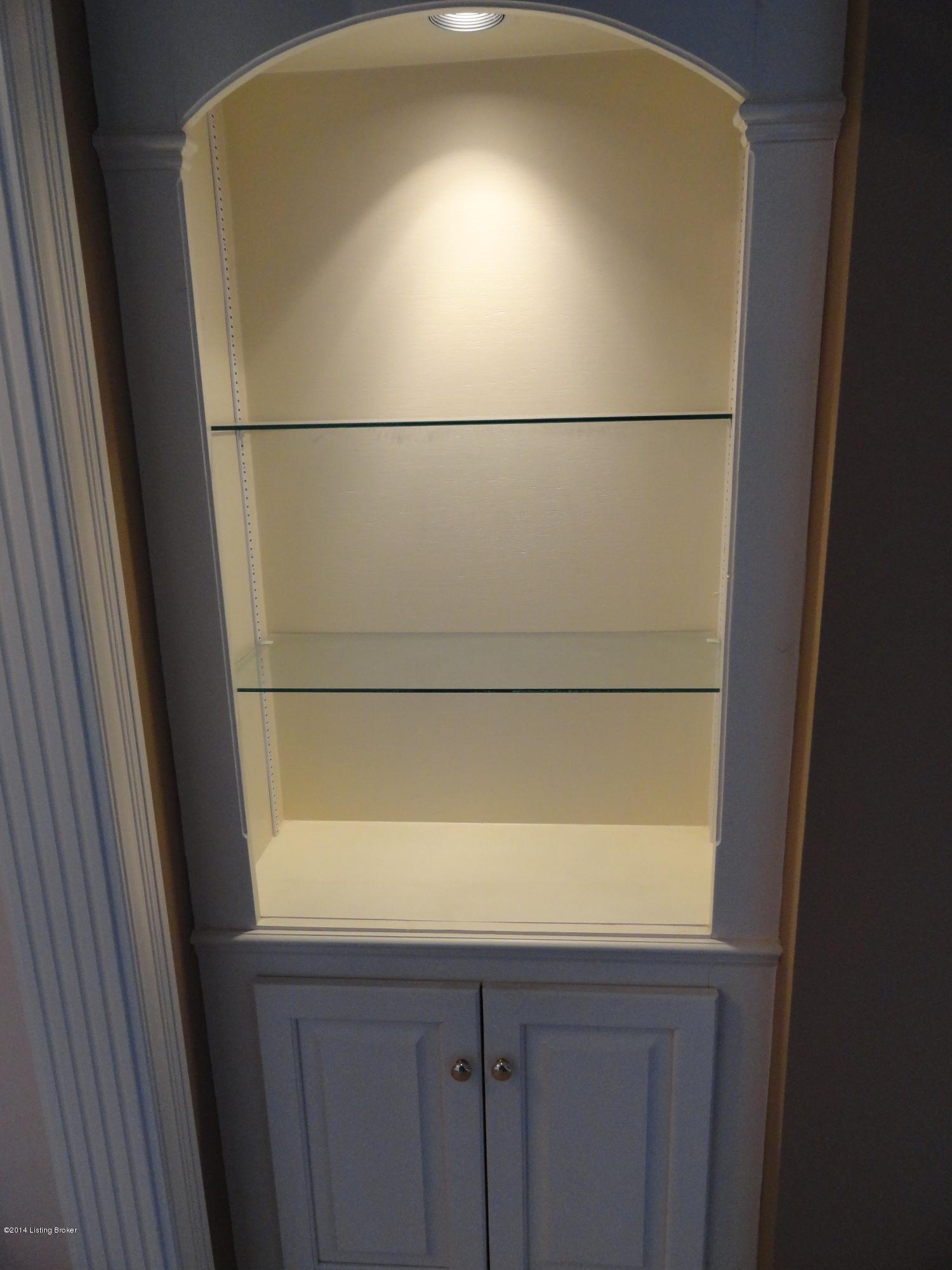 3209 Trail Ridge Road Louisville, KY 40241 - Photo 14 of 47 RECESSED CURIO IN LIVING ROOM