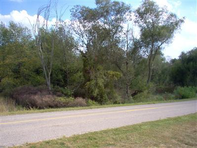 Purdy Road Montgomery, MI 49255 - Photo 1 of 1 Primary Photo