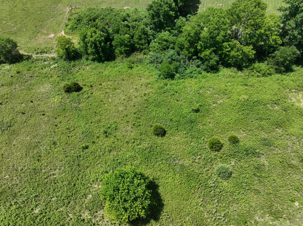 1921 Robinson-Renaker Road Berry, KY 41003 - Photo 10 of 24 09