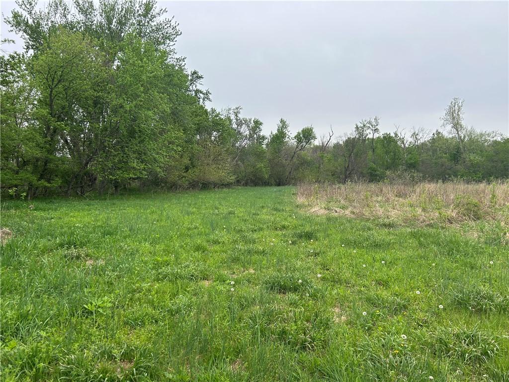County Line Road Herrick, IL 62431 - Photo 7 of 20