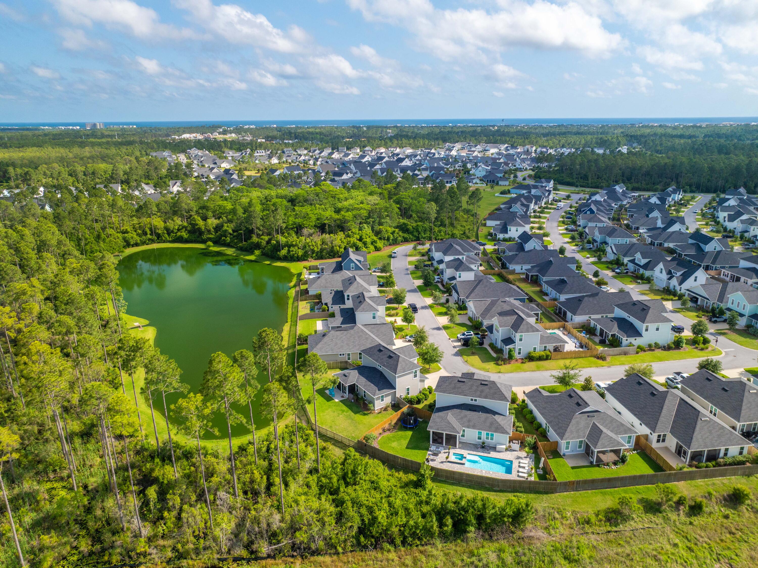 229 Windrow Way Inlet Beach Inlet Beach, FL 32461 - Photo 51 of 66 229 Windrow Aerial-8
