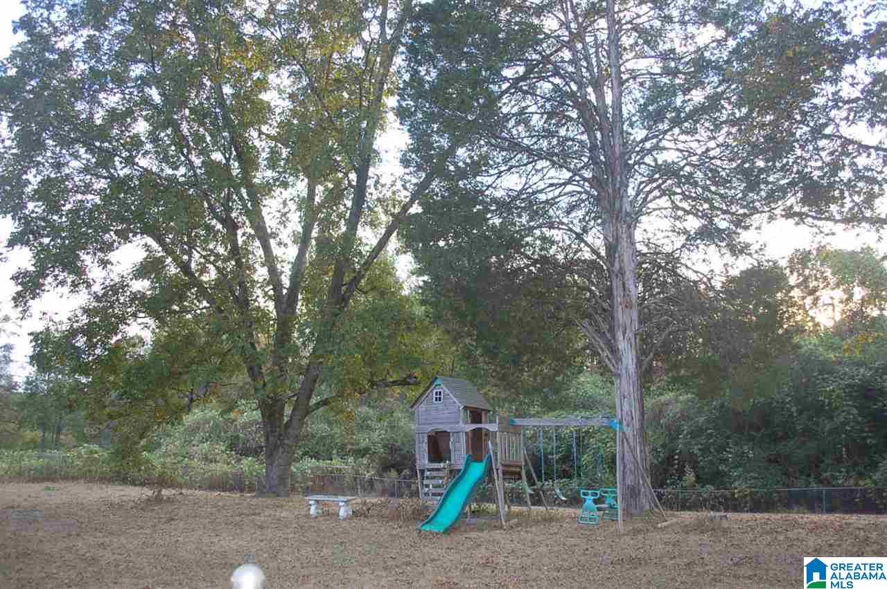 9950 Corner School Road Warrior, AL 35180 - Photo 5 of 20
