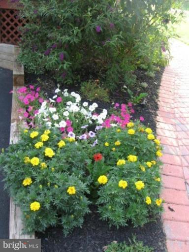 152 Ridge Road Rising Sun, MD 21911 - Photo 23 of 26 Garden #2