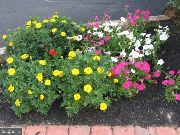 152 Ridge Road Rising Sun, MD 21911 - Photo 5 of 26 Garden