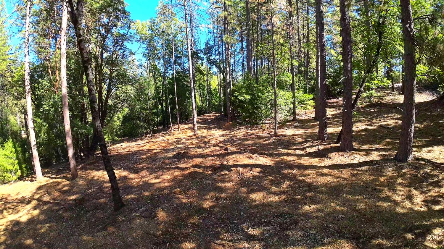 6324 Dickinson Road Placerville, CA 95667 - Photo 24 of 34 a backyard of a house with lots of green space and outdoor seating